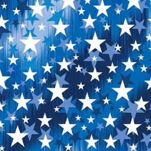 America's Highway by Kanvas Studio ALL STARS/NAVY, BLUE