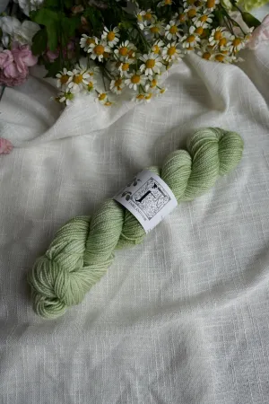 Athena 50g - Deichman