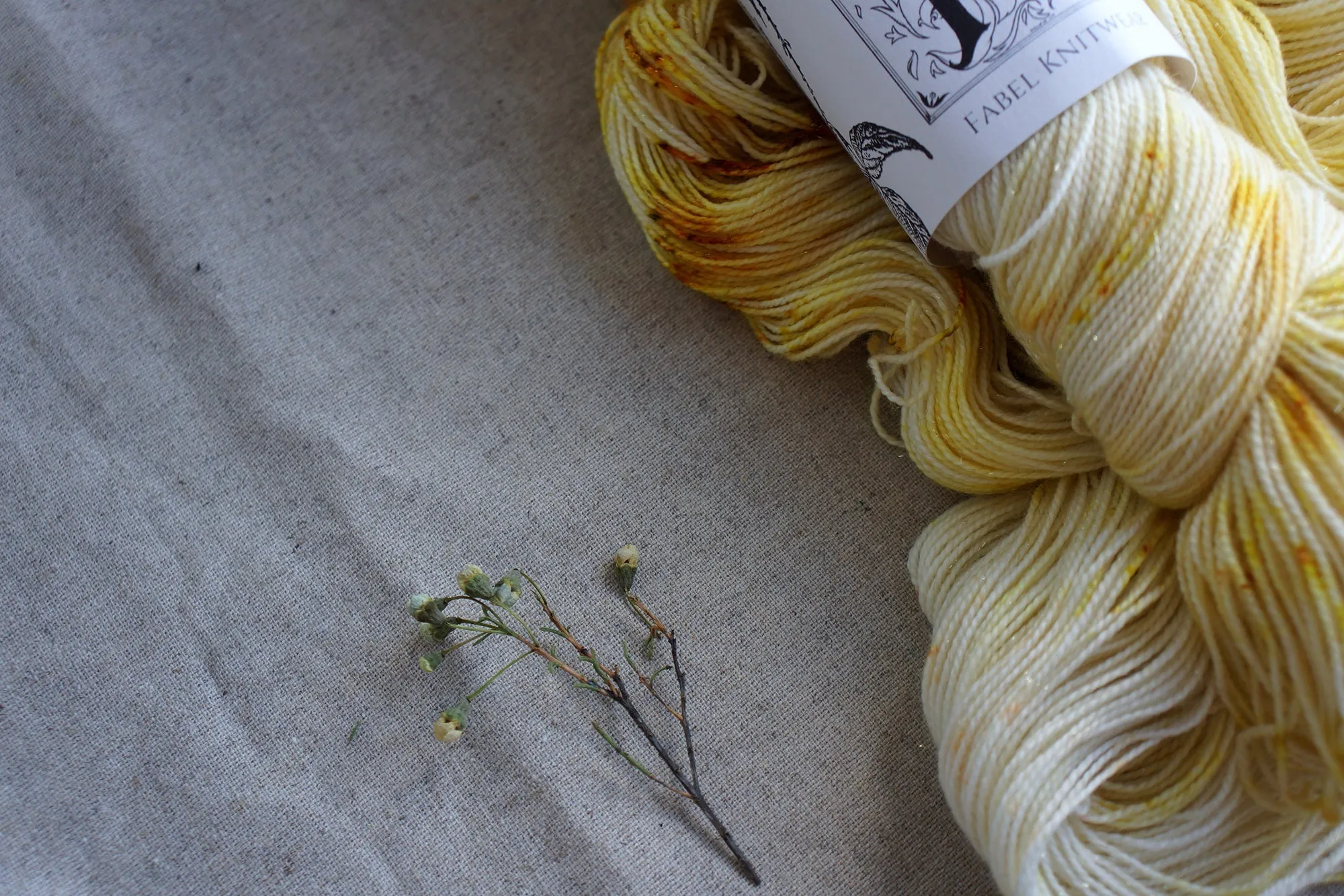 Athena - Dreamseeker Dandelion
