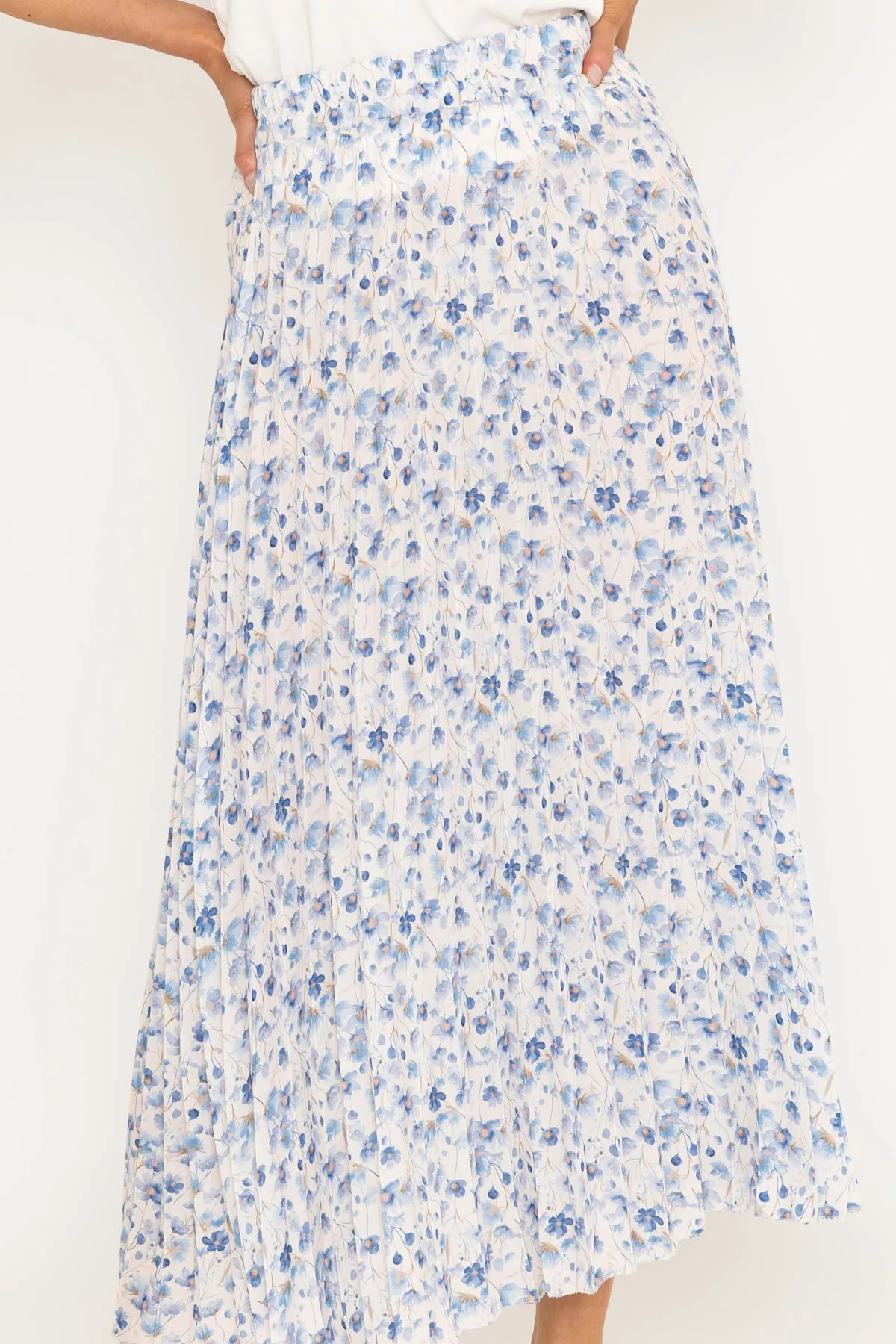 Blue Floral Print Pleated Maxi Skirt