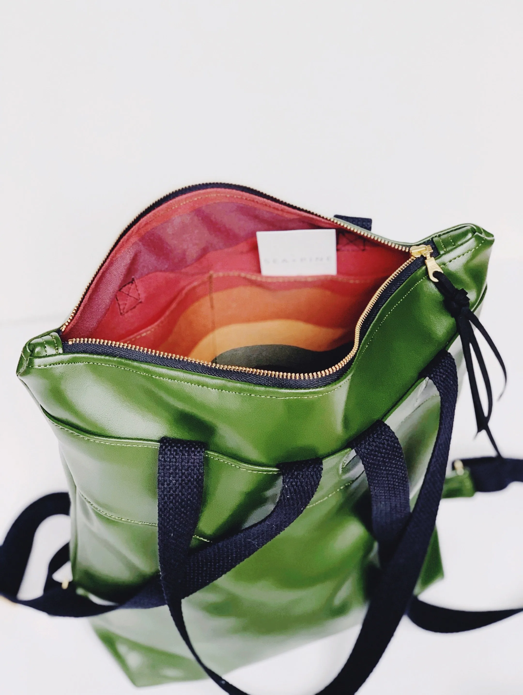Cactus Everyday Convertible Backpack