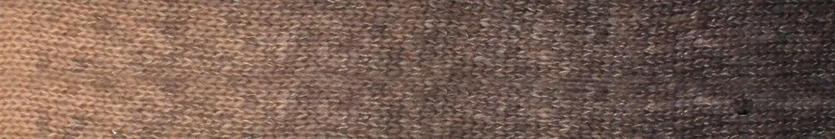 CashSilk Cotton Degrade