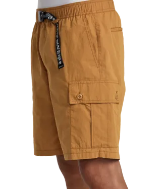 Civic Utility Shorts SALE