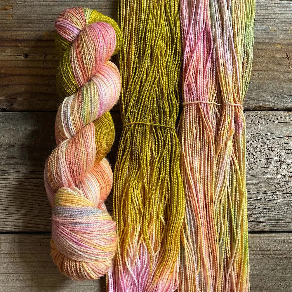 Dream in Color Smooshy Cashmere