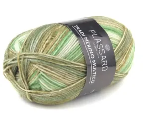 Forest Walk Tradi multi sock yarn 50 g