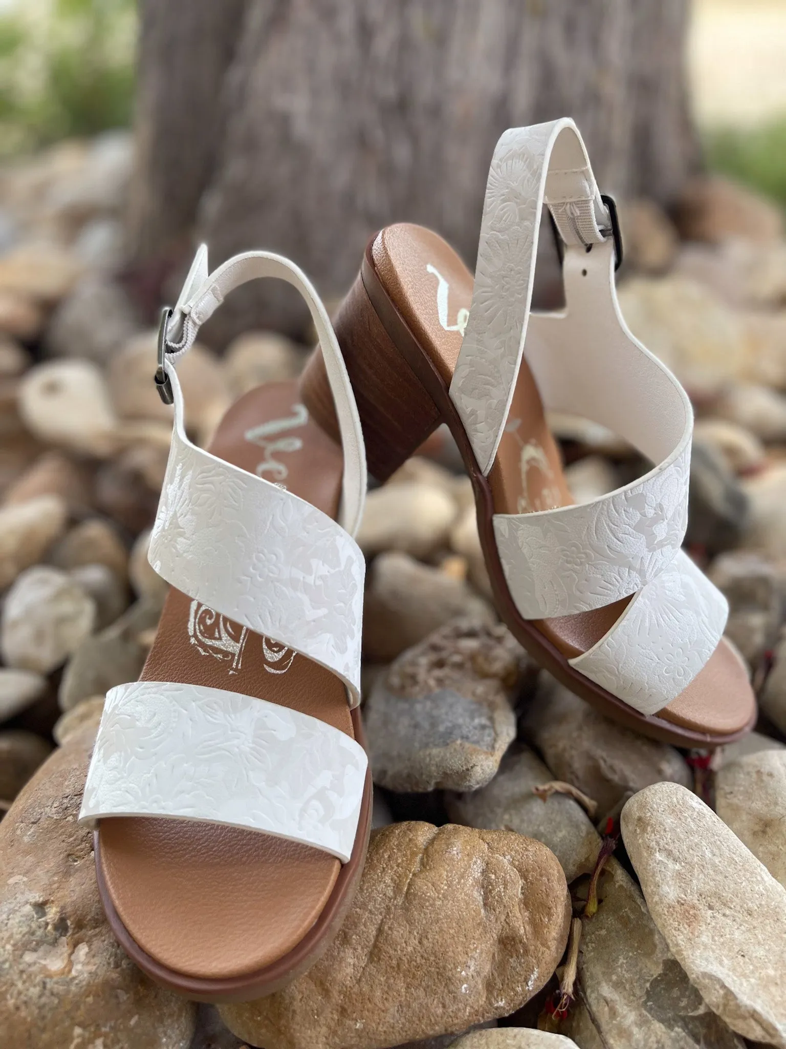 GJ Zarina || White