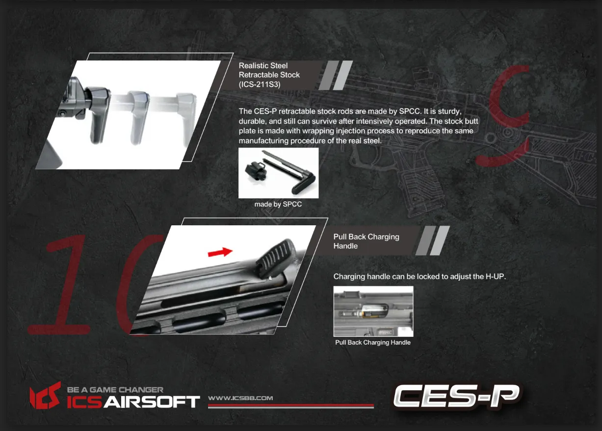 ICS CES-P MS1 S3 (SFS Stock)