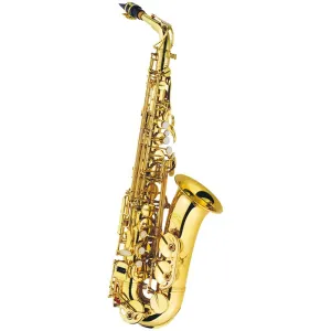 J. Michael AL-500 E♭ Alto Saxophone Outift