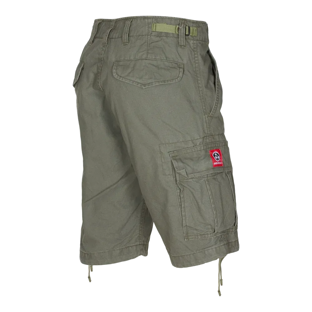 Molecule Shortcuts 'Olive Green'