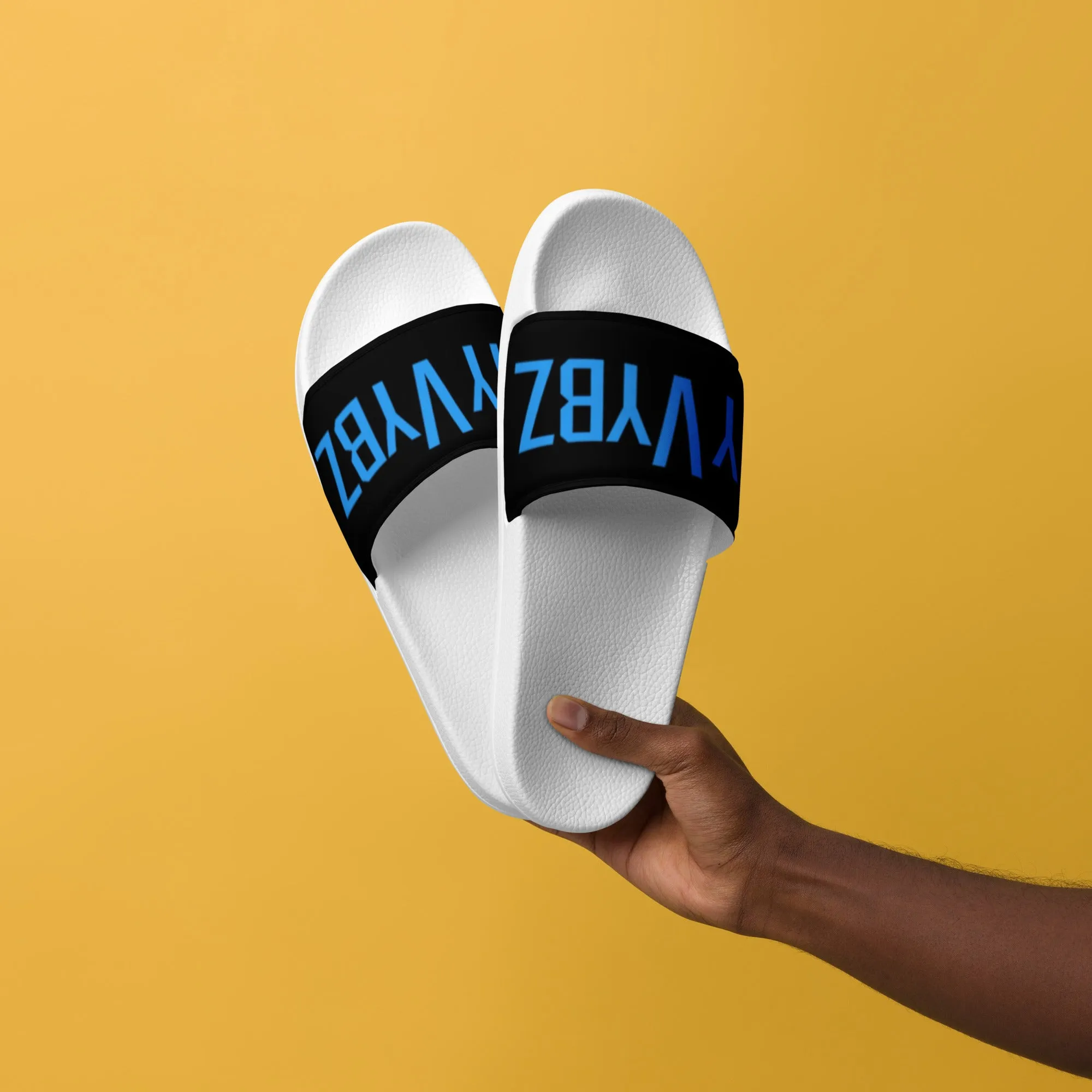 MyVybz Slides