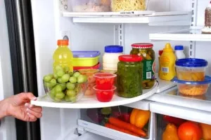 NEW As seen on TV The Original Fridge Tamer