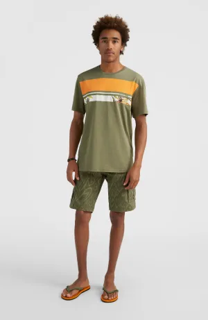 Park Cargo-Shorts | Deep Lichen Magic Carpet