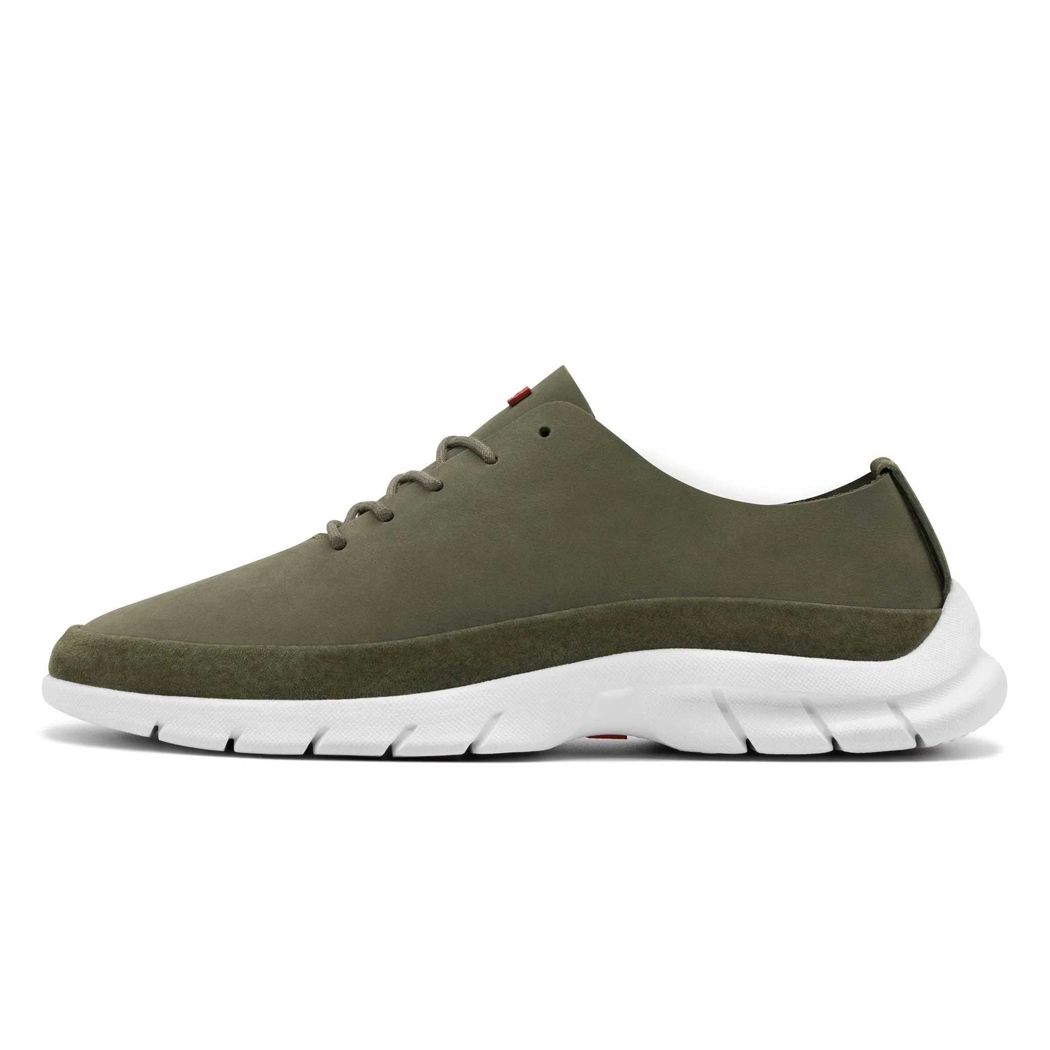 Pascal / Olive