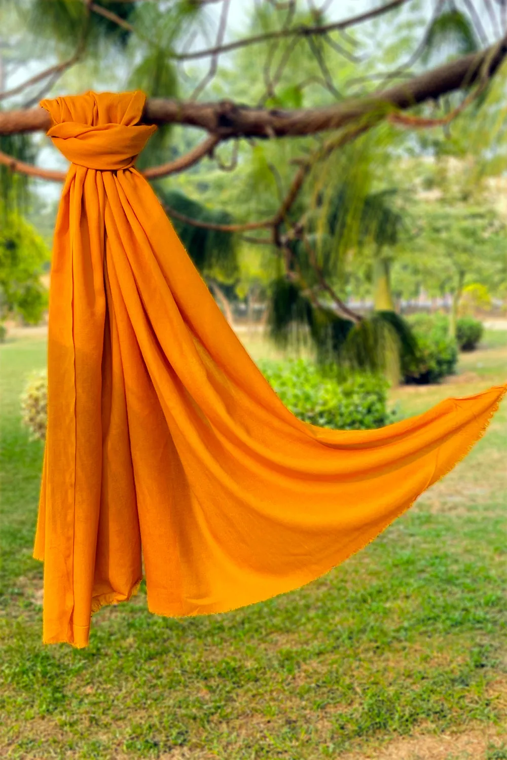 Plain Wool Shawl  - Golden