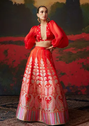 Red handwoven silk lehenga