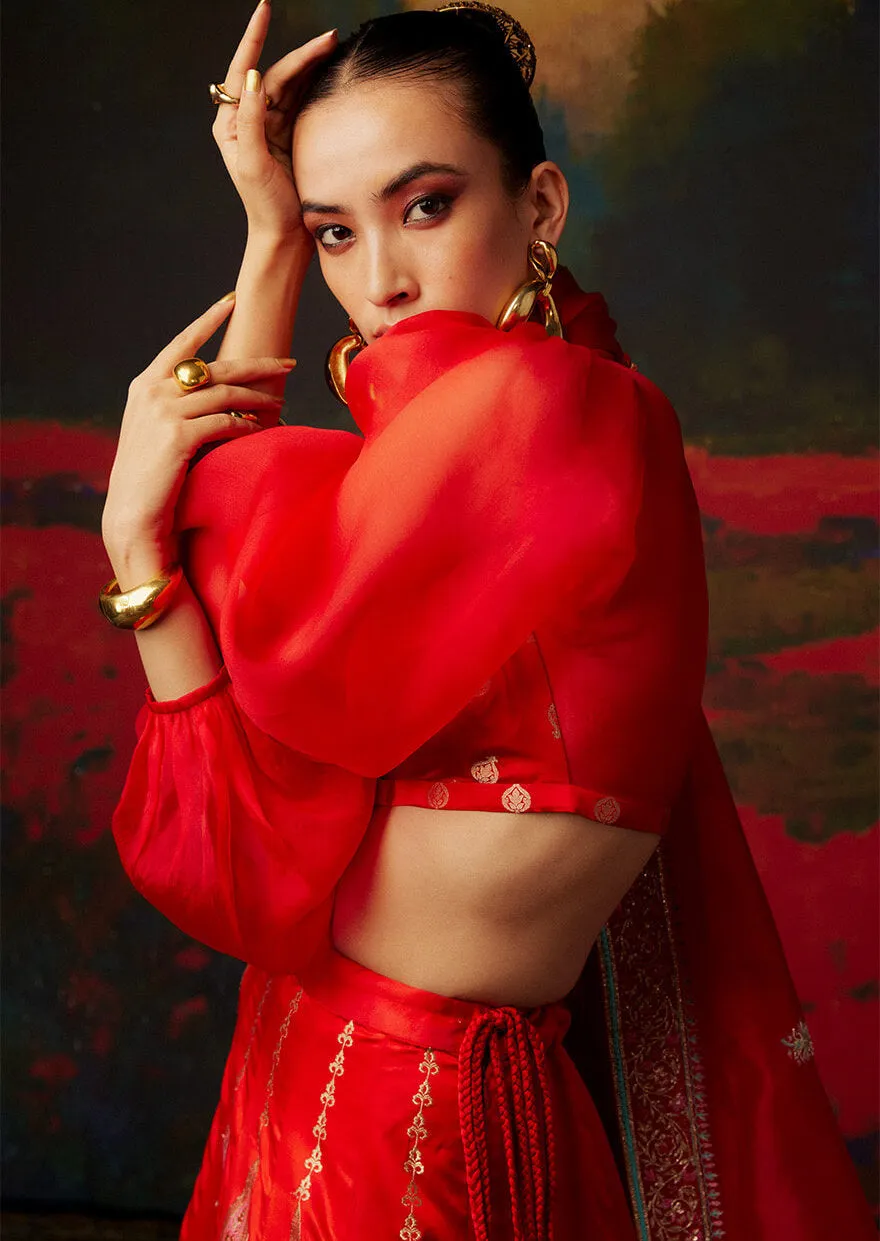 Red handwoven silk lehenga