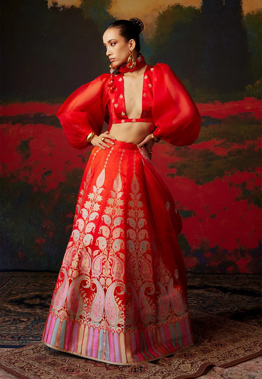 Red handwoven silk lehenga