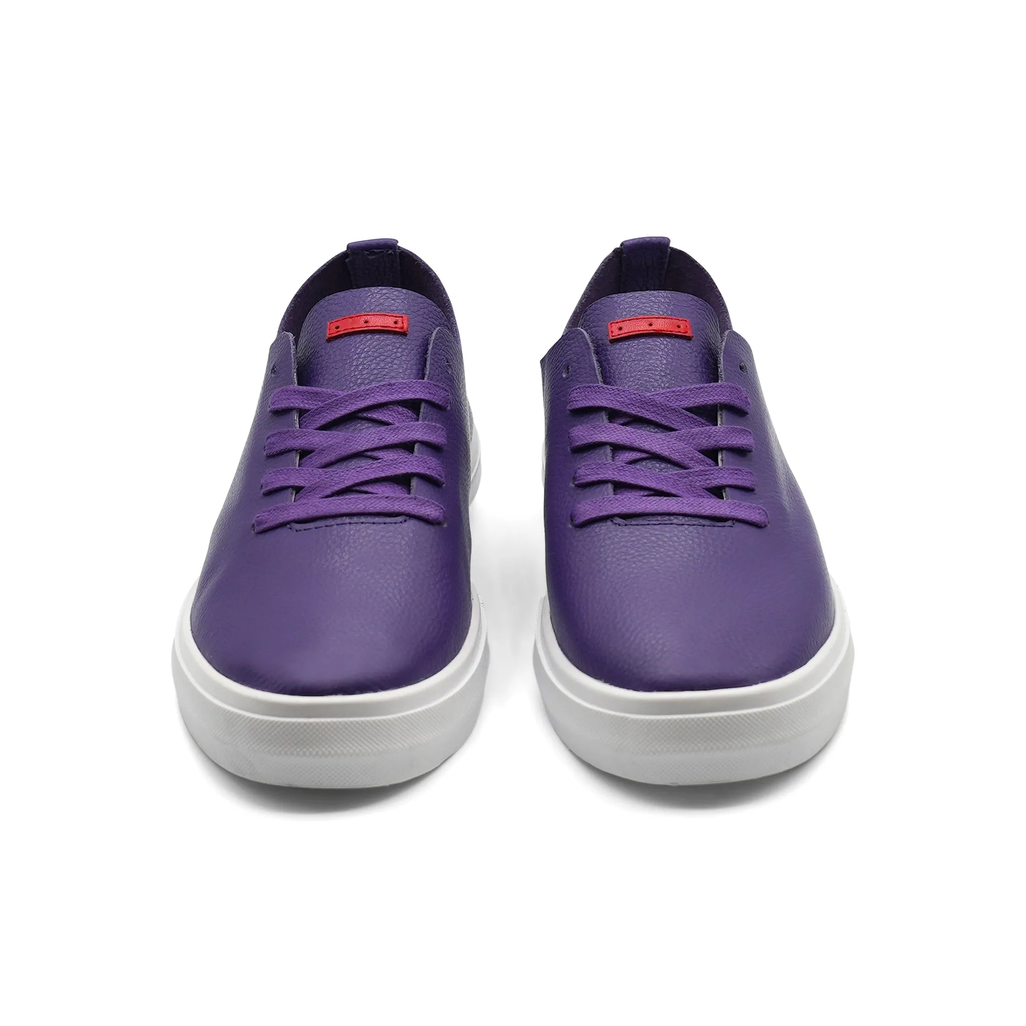 Saxony / Purple / White