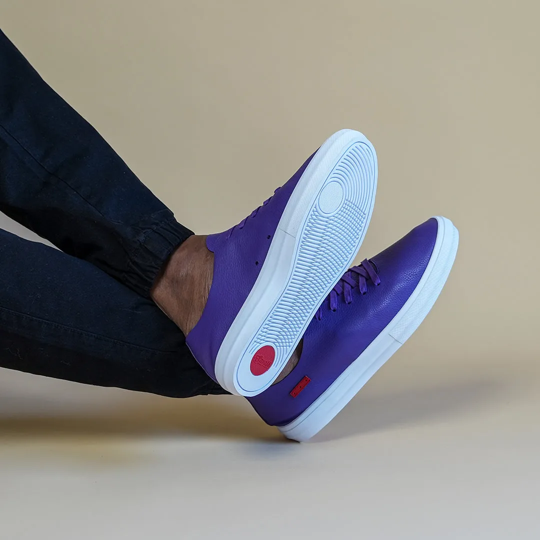 Saxony / Purple / White
