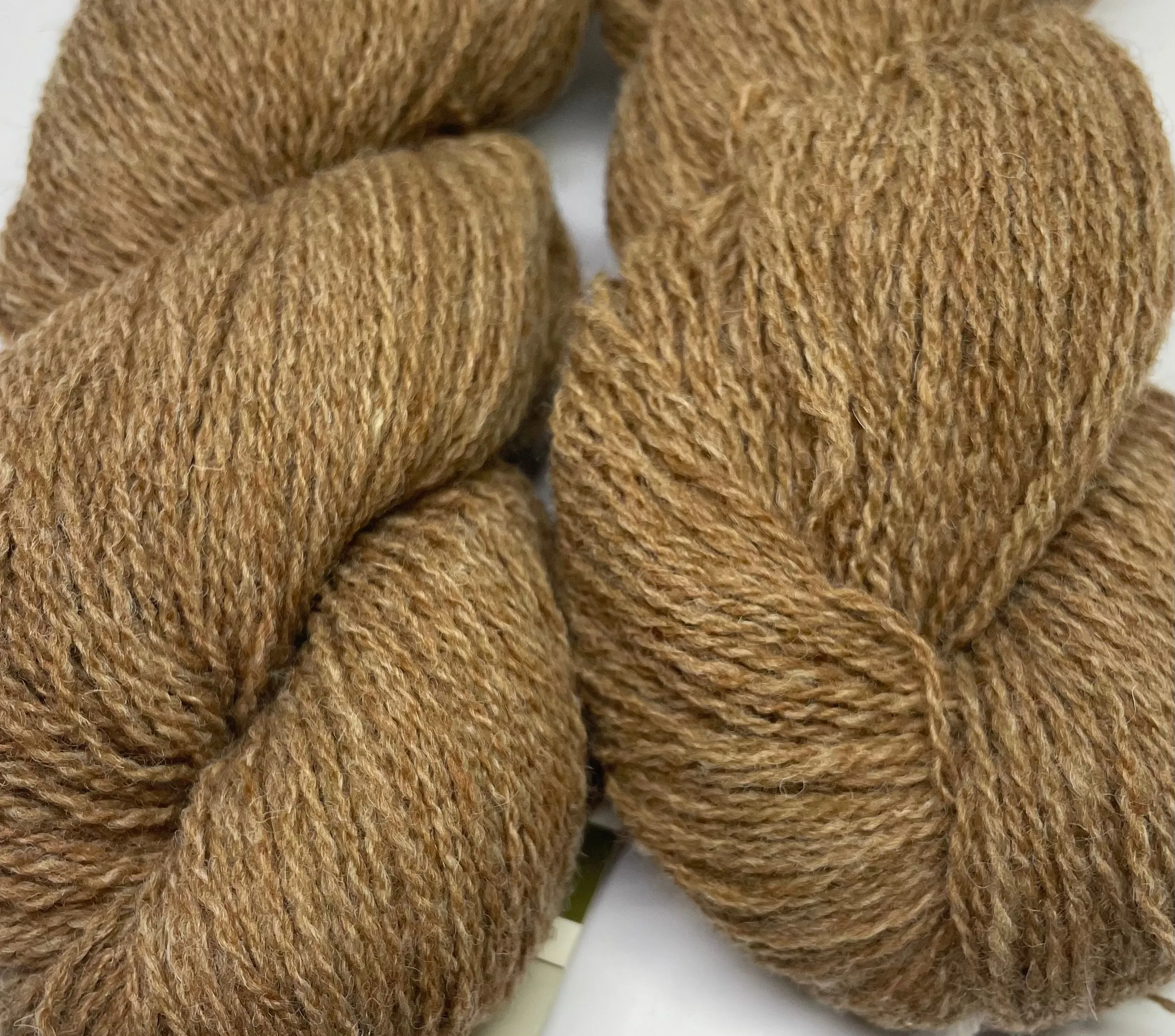 Shetland Lite