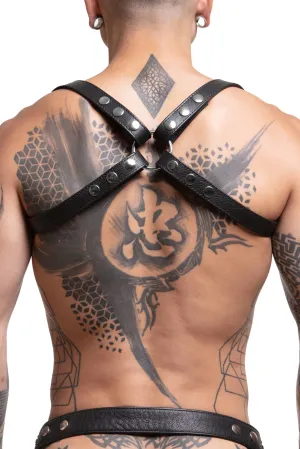 SHOULDER BUCKLE HARNESS - Stainless Steel
