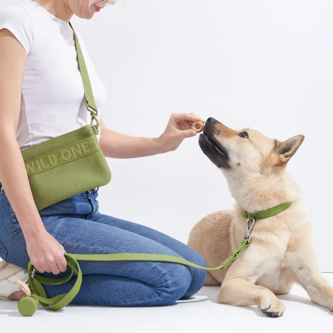 Treat Pouch