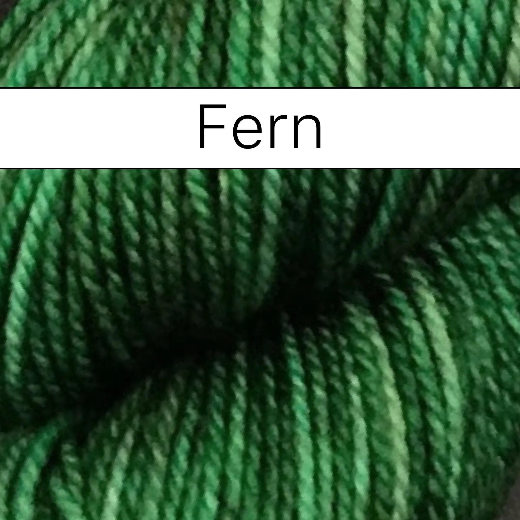 Vera