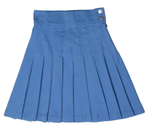 Waisted Pleated Skirt