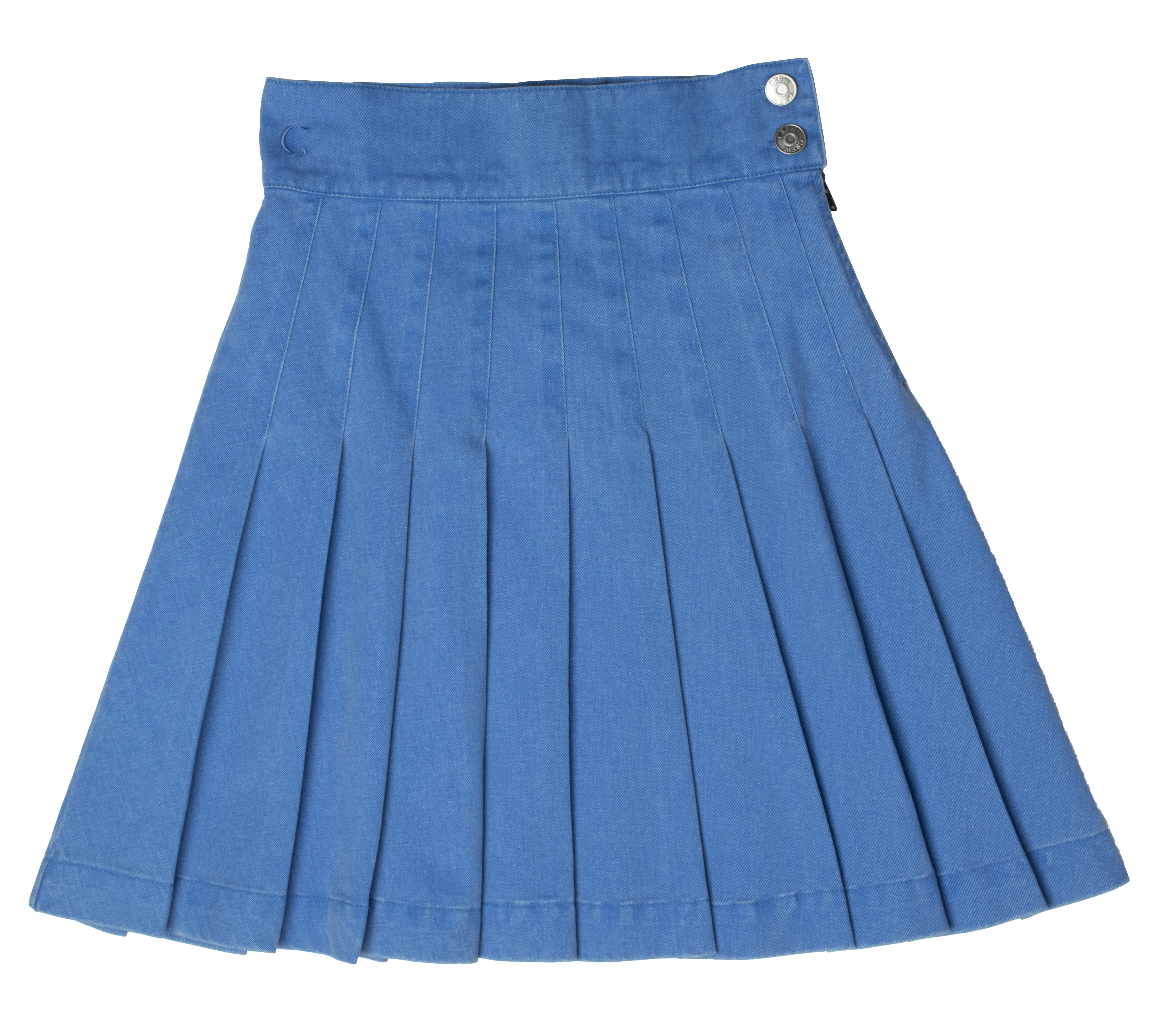 Waisted Pleated Skirt