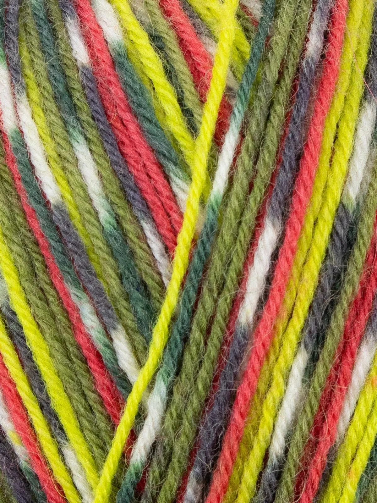 West Yorkshire Spinners | Signature 4ply | Green Woodpecker 1170