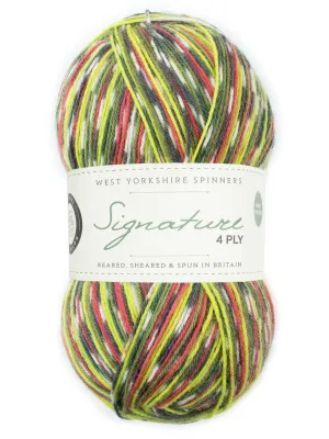West Yorkshire Spinners | Signature 4ply | Green Woodpecker 1170