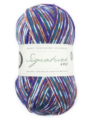 West Yorkshire Spinners | Signature 4ply | Starling 1169